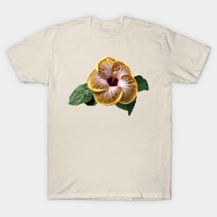 Hibiscus - Hibiscus Fifth Dimension T-Shirt